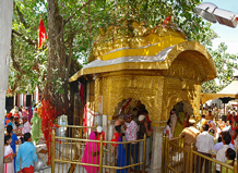 chintpurni