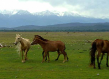 khajjiar